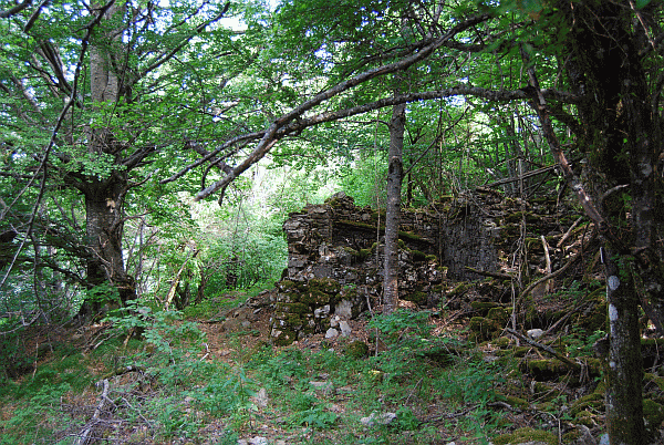 I ruderi di Casoni di Berga