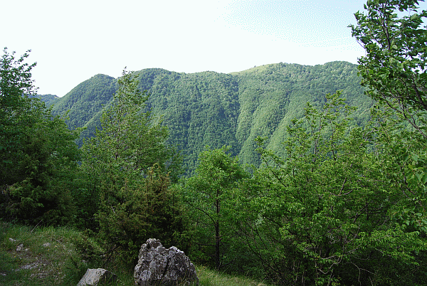 Panorama dal sentiero