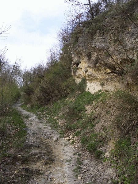 Affioramento roccioso