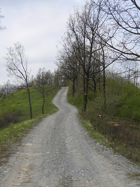 Un tratto del percorso