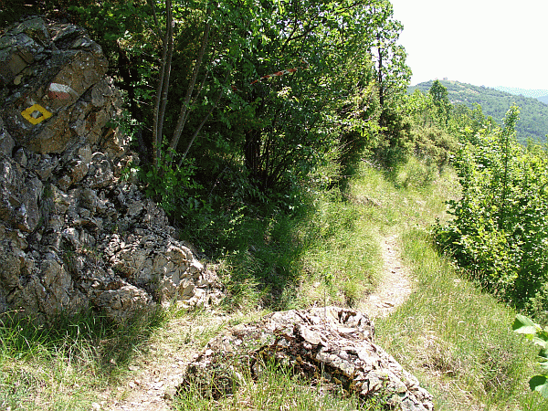 Affioramento roccioso