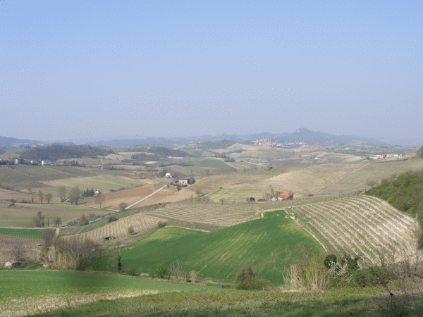 Le colline del Monferrato