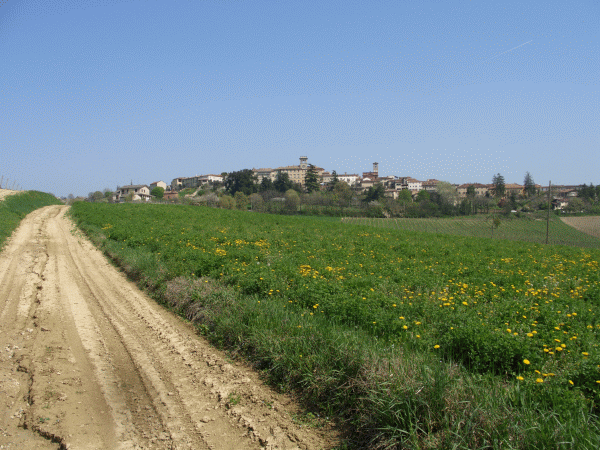 Ritorno a Cella Monte