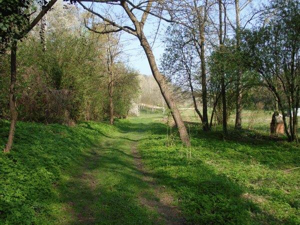 Valle Carcanara