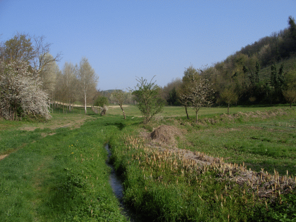 Costeggiando il Rio Carcana