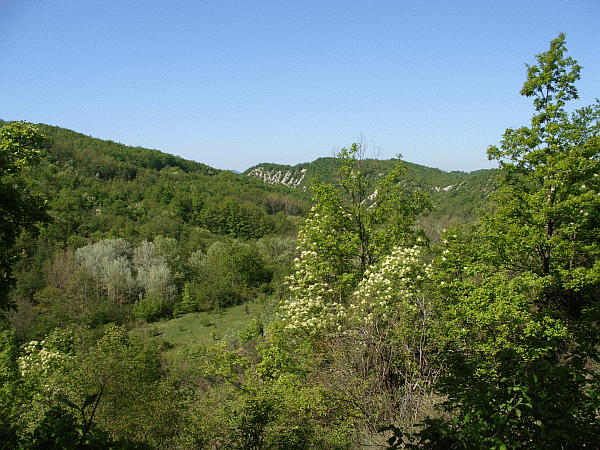 Primavera in Val Curone