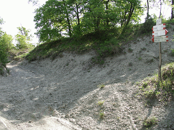 Il bivio di Costa Muta (mt. 400)