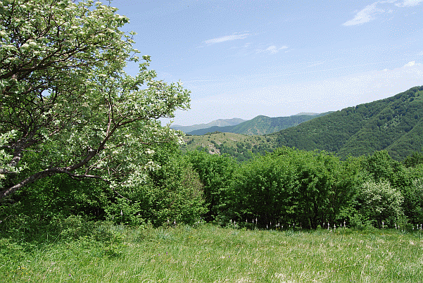 Panorama verso la Sella Banchiera