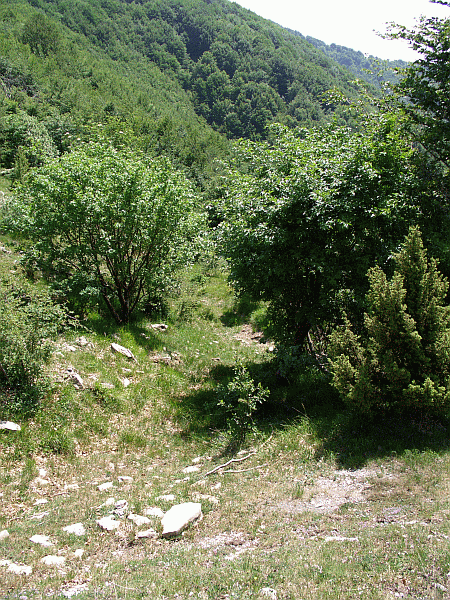 L’imbocco del sentiero