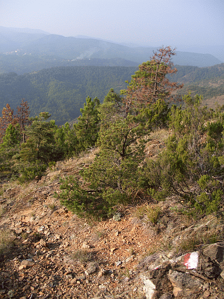 Panorama dai Pianazzi