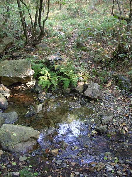 Guado sul Rio Siriti