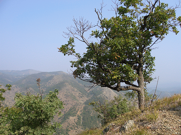 Veduta panoramica