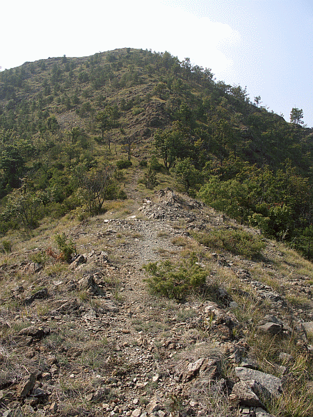 Bric Alto delle Scarne