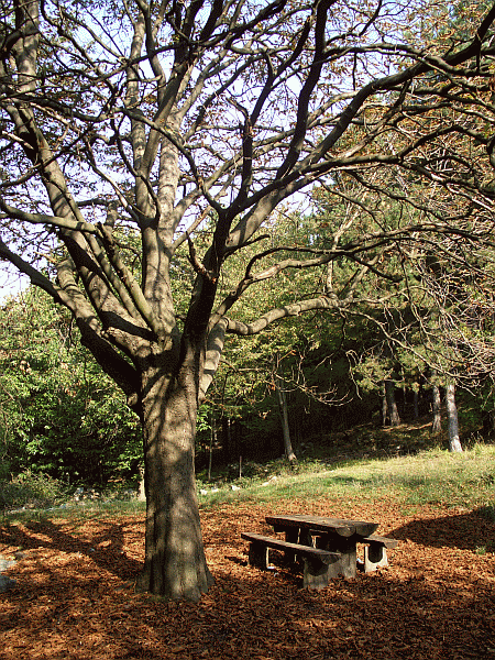 Area di sosta