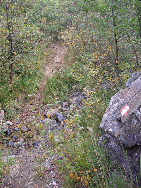 Guado sul Rio Bordanella