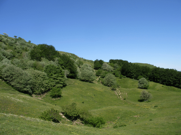 Primavera in campagna