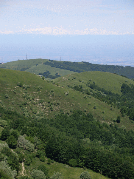 Bivio presso la Cascina Raviaro