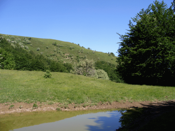 La carrareccia fra i campi