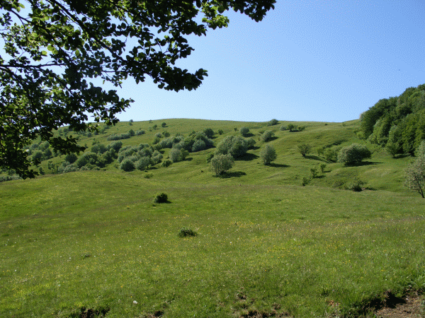 Verso la Cascina San Leonardo