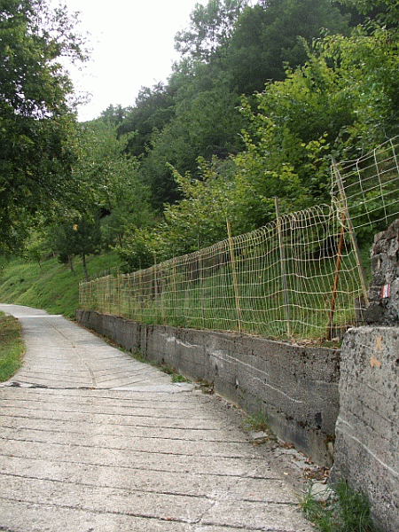 L’inizio del percorso