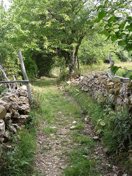 Antichi muretti in pietra