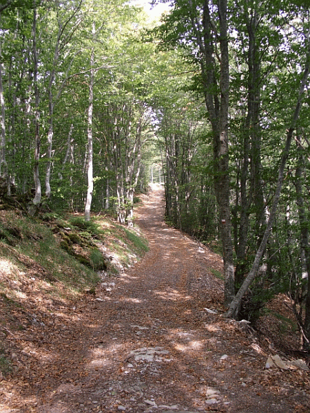 La carrareccia