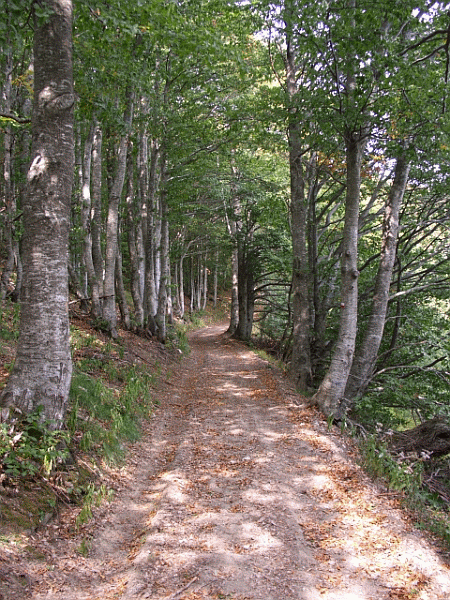 L’antica mulattiera