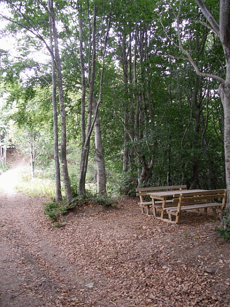 Area di sosta