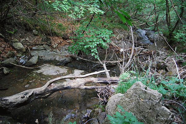 Il Rio Sopei