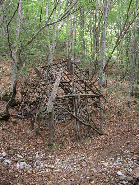Capanno nel bosco