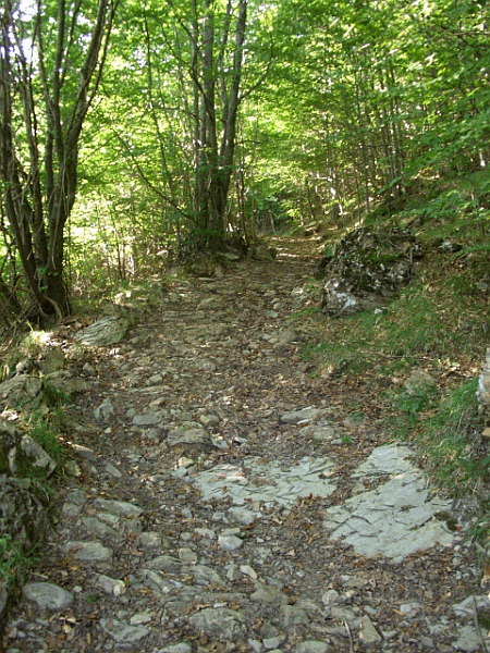 Tratto lastricato dell’antica strada verso l’Antola