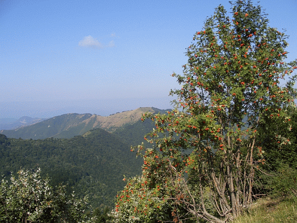 Veduta panoramica