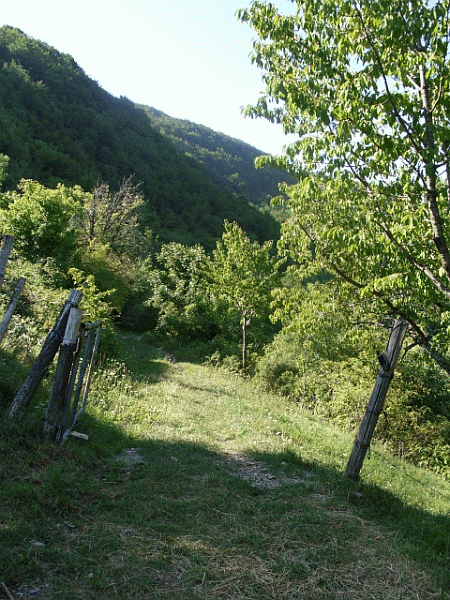L’imbocco del sentiero
