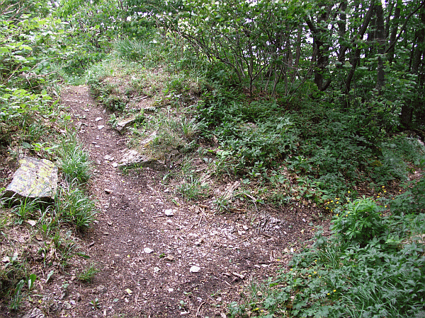 Passo Sesenelle (mt. 1254)