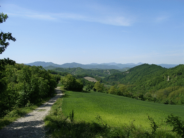 Paesaggio primaverile