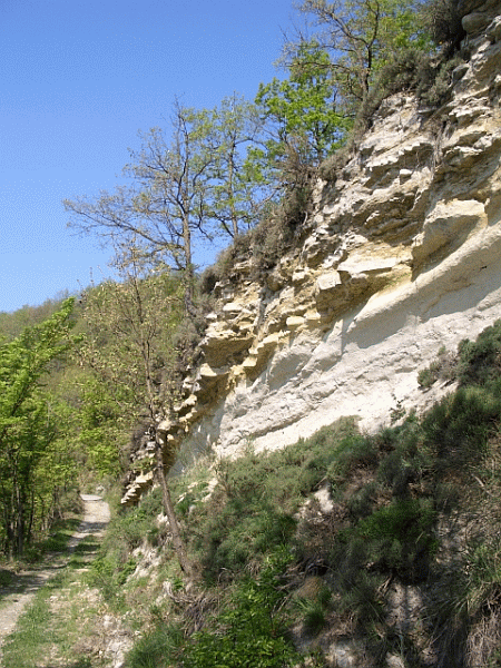 Affioramento di arenaria