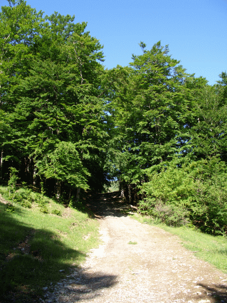 Veduta del sentiero