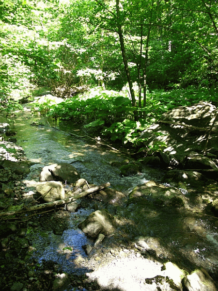 Il Torrente Visone