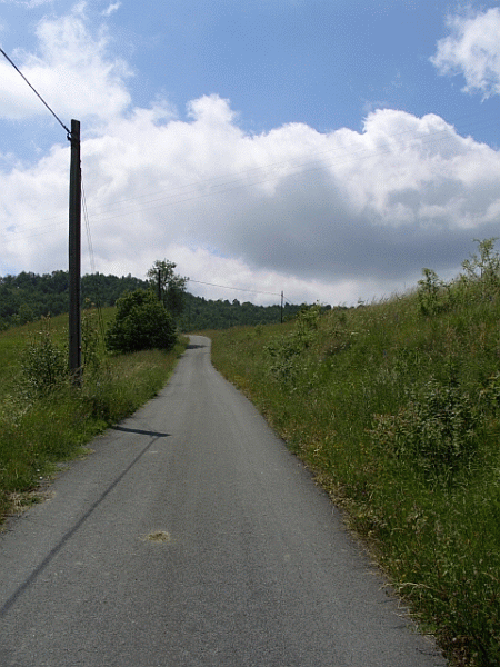 Il percorso nel verde