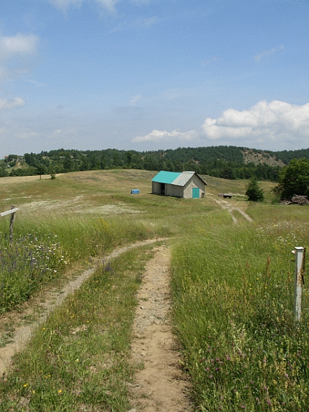 Paesaggio rurale