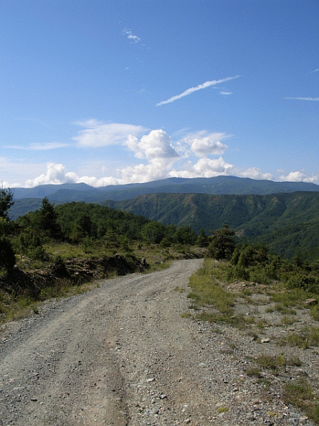 La carrareccia 