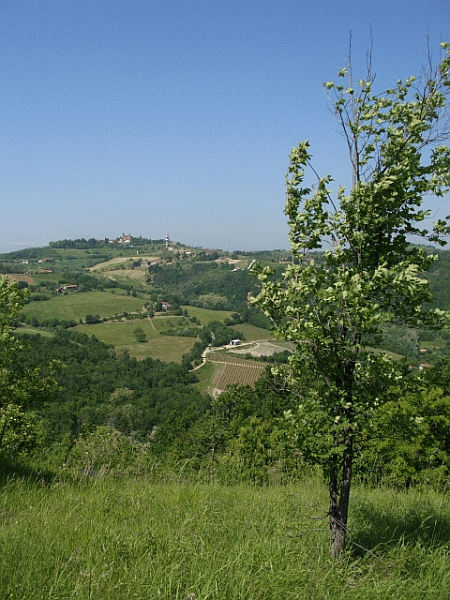 Panorama verso Cavatore