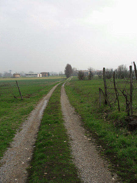 La campagna nei pressi di Viguzzolo