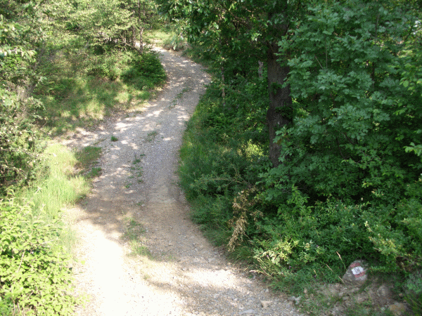 La Sella di Avi (mt. 732)