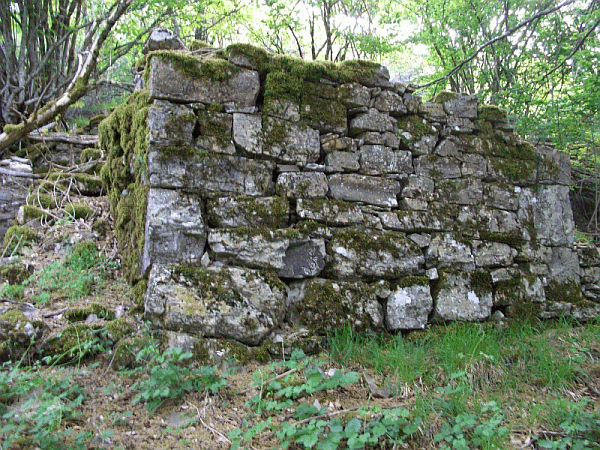 Particolare dei ruderi di Casoni di Berga