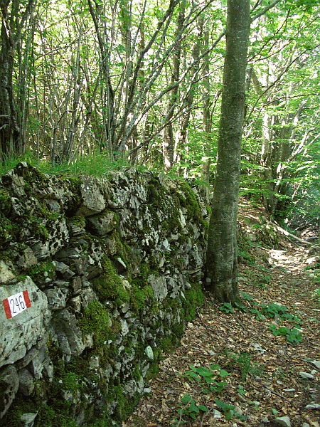 Antico muretto in pietra