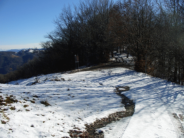 Il Colle della Seppa (mt. 1481)