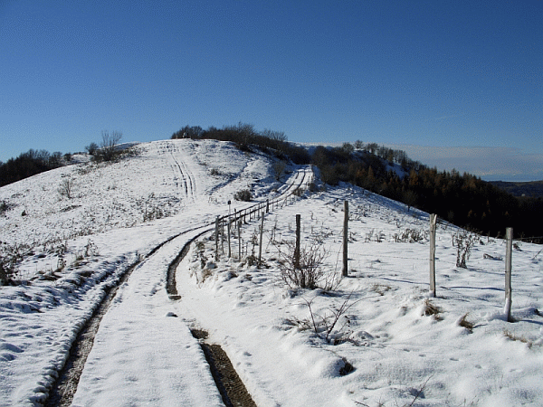 Arrivo al Monte Bagnolo (mt. 1531)