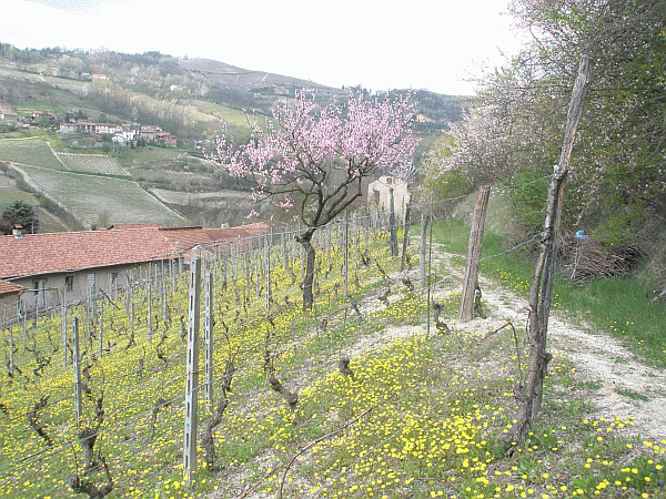 Arrivo alla Cascina Grassi