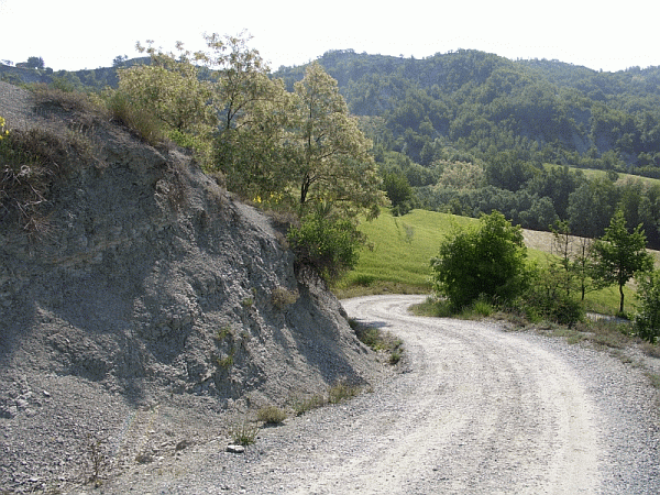 Affioramento calanchivo